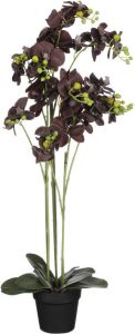 Mica Decorations Orchidee bloem kunstplant zwart H90 x B30 cm  Kunstplanten