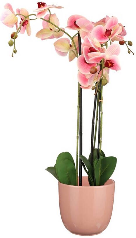 Mica Decorations Orchidee kunstplant roze 75 cm inclusief bloempot lichtroze glans Kunstplanten