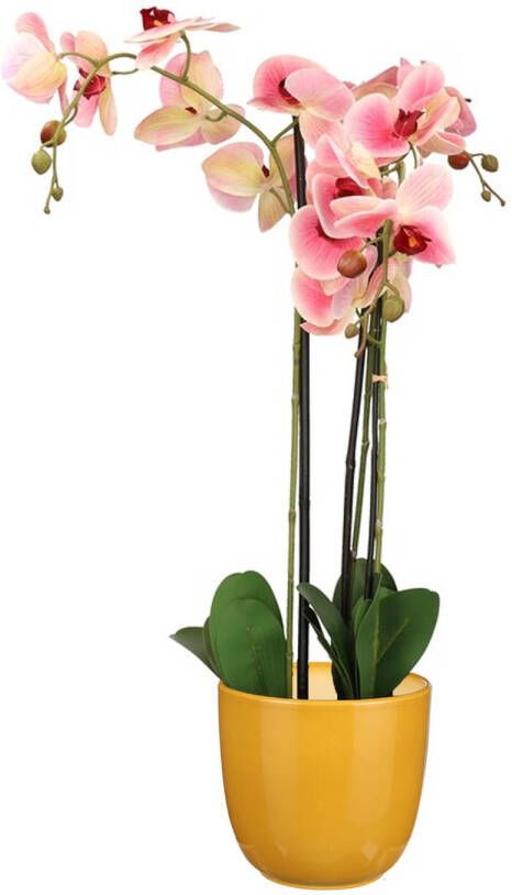 Mica Decorations Orchidee kunstplant roze 75 cm inclusief bloempot okergeel glans Kunstplanten