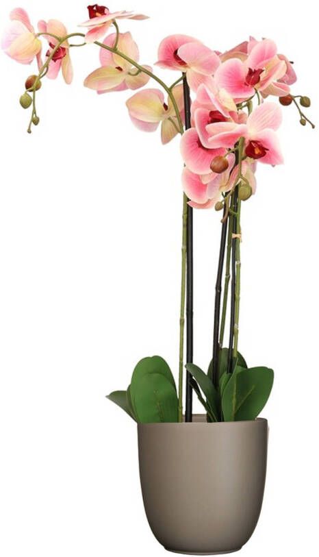 Mica Decorations Orchidee kunstplant roze 75 cm inclusief bloempot taupe mat Kunstplanten