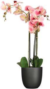 Mica Decorations Orchidee kunstplant roze 75 cm inclusief bloempot titanium grijs glans Kunstplanten