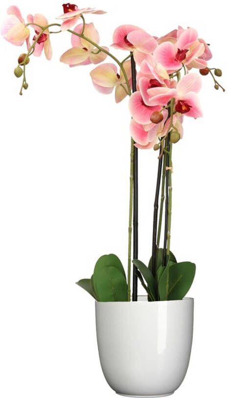 Mica Decorations Orchidee kunstplant roze 75 cm inclusief bloempot wit glans Kunstplanten