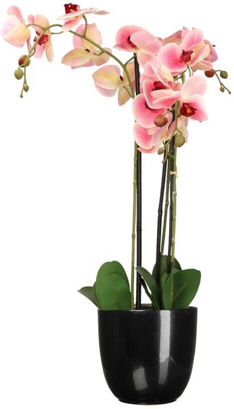Mica Decorations Orchidee kunstplant roze 75 cm inclusief bloempot zwart glans Kunstplanten