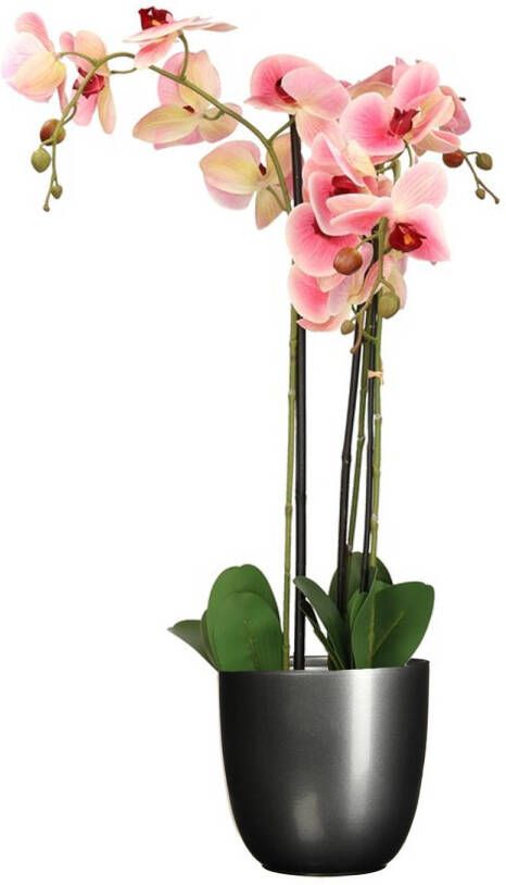 Mica Decorations Orchidee kunstplant roze 75 cm inclusief bloempot zwart mat Kunstplanten