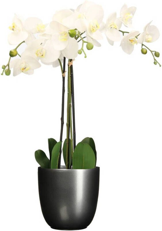 Mica Decorations Orchidee kunstplant wit 75 cm inclusief bloempot titanium grijs glans Kunstplanten