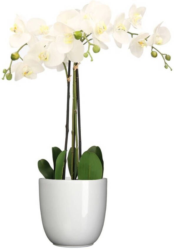Mica Decorations Orchidee kunstplant wit 75 cm inclusief bloempot wit glans Kunstplanten