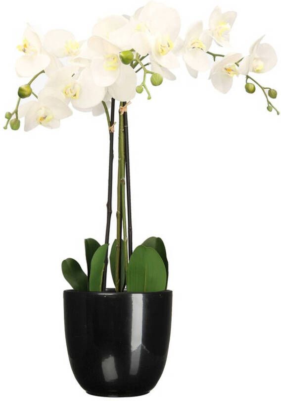 Mica Decorations Orchidee kunstplant wit 75 cm inclusief bloempot zwart glans Kunstplanten