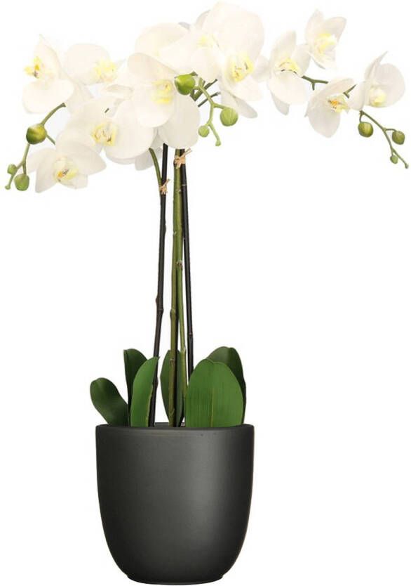 Mica Decorations Orchidee kunstplant wit 75 cm inclusief bloempot zwart mat Kunstplanten