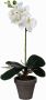 Mica Decorations Phalaenopsis Orchidee kunstplant wit in pot H48 x D13 cm Kunstplanten nepplanten met bloemen Kunstplanten - Thumbnail 1