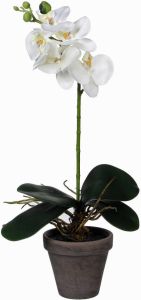 Mica Decorations Phalaenopsis Orchidee kunstplant wit in pot H48 x D13 cm Kunstplanten nepplanten met bloemen Kunstplanten
