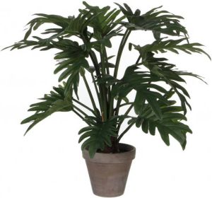 Mica Decorations Philodendron Selloum Kunstplant in Bloempot H50 cm