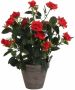 Mica Decorations Rode rozen kunstplant 33 cm in pot stan grey Kunstplanten nepplanten Kunstplanten - Thumbnail 1