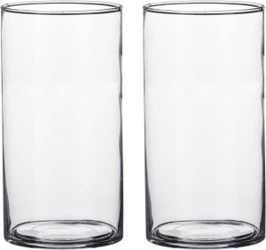 Mica Decorations Set van 2x stuks transparante cilinder vaas vazen van glas 9 x 15 cm Woonaccessoires woondecoraties Glazen bloemenvaas Boeketvaas Vazen