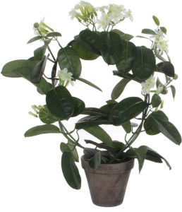 Mica Decorations Stephanotis bruidsbloem kunstplant kamerplant wit in grijze sierpot H50 cm x D40 cm Kunstplanten