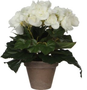 Mica Decorations Witte Begonia kunstplant met bloemen 25 cm in grijze pot Kunstplanten nepplanten Voor binnen Kunstplanten