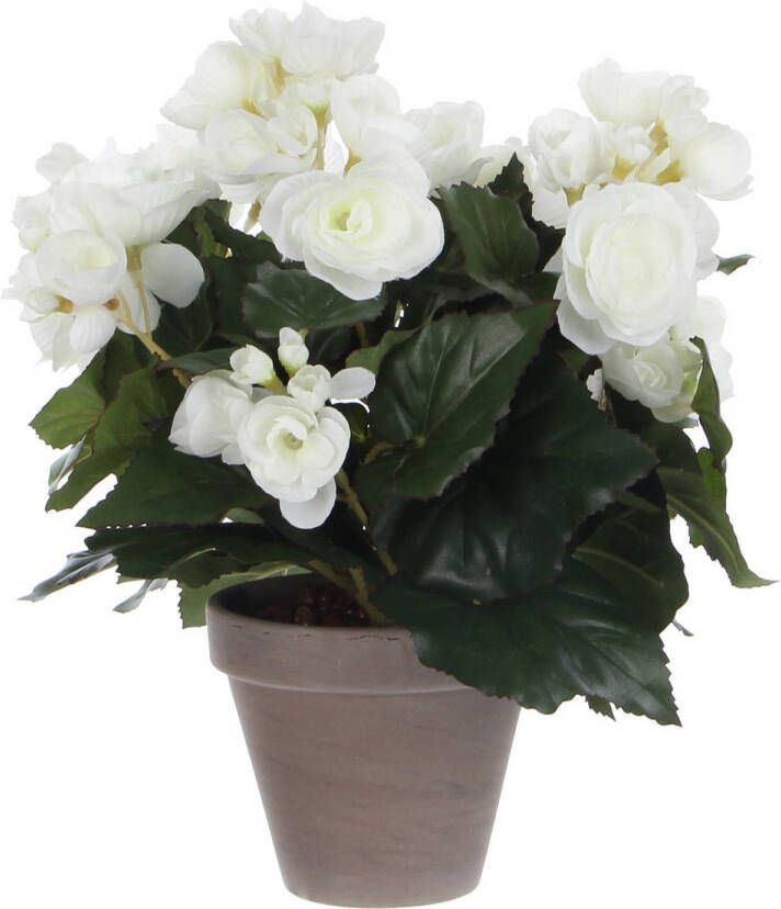 Mica Decorations Witte Begonia kunstplant met bloemen 30 cm in grijze pot Kunstplanten nepplanten Voor binnen