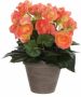 Merkloos Zalmroze Begonia kunstplant 30 cm in grijze pot Kunstplanten nepplanten - Thumbnail 1