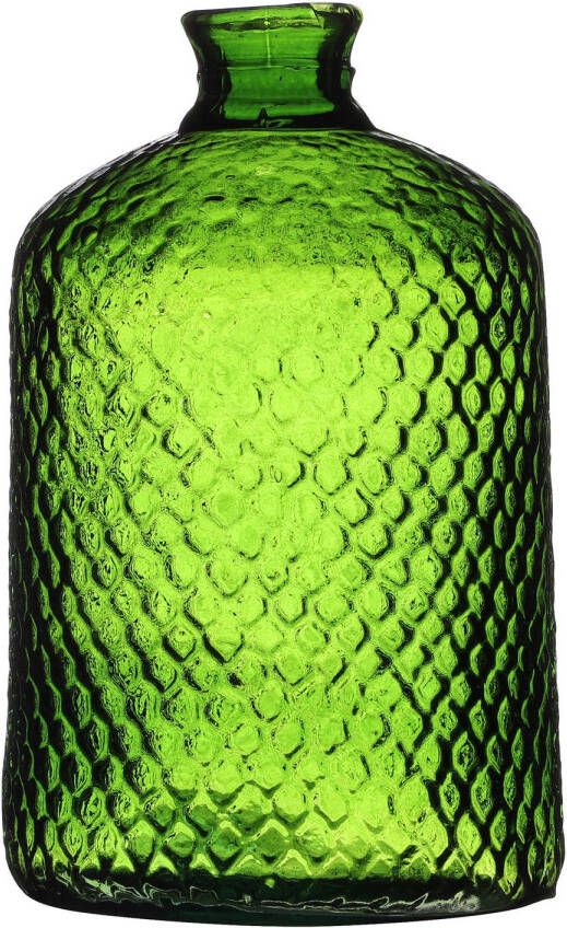 Natural Living Bloemenvaas Scubs Bottle groen geschubt transparant glas D18 x H31 cm Vazen