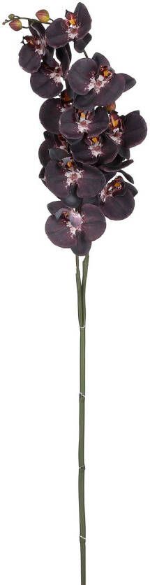 No brand Kunstbloem Orchidee zwart 100cm