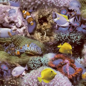 Noordwand Good Vibes Behang Coral and Tropical Fish geel en paars