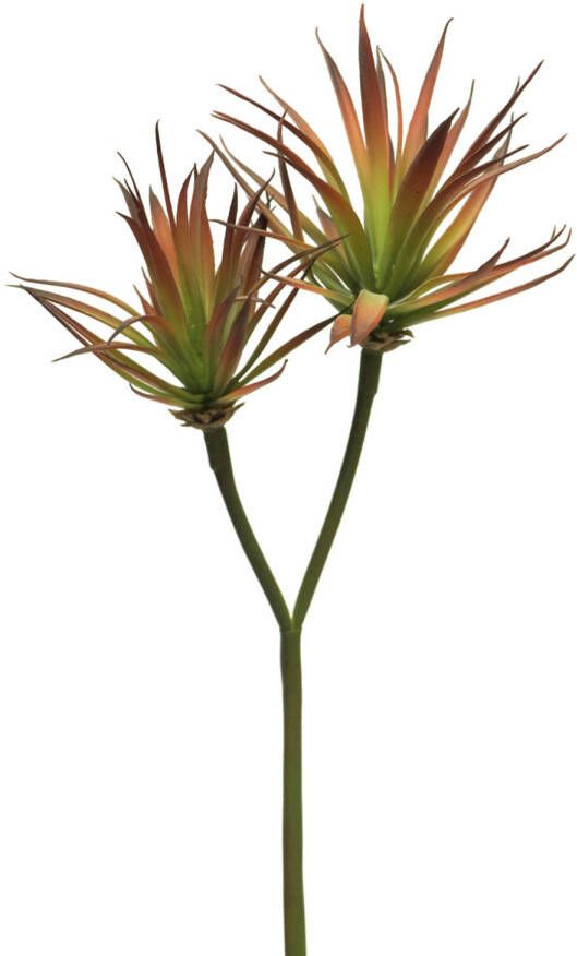 Nova Nature Agave Plant Pick X2 Red 64cm
