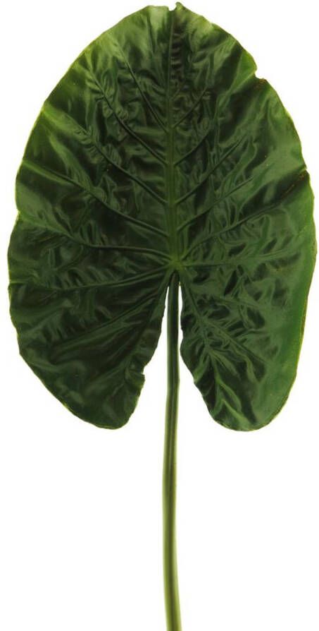 Nova Nature Alocasia leaf spray green 76 cm kunstbloemen