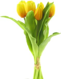 Nova Nature Kunst Van Gogh Tulip Bundle Sally Yellow 30 Cm