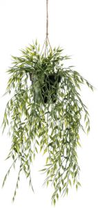 Botanic-Haus Kunst-potplanten Bamboe-plantenhanger