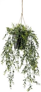 Emerald Kunstplant hangend in pot buxus 50 cm
