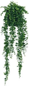 PrettyPlants Eucalyptus Kunst Hangplant 2 Takken 65cm