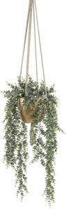 PrettyPlants Eucalyptus Kunst Hangplant In Gouden Pot 75cm