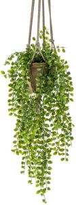 PrettyPlants Ficus Pumilla Kunst Hangplant 80cm