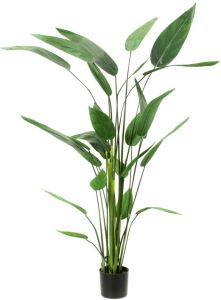 PrettyPlants Heliconia Kunstplant 175cm