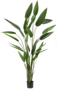 PrettyPlants Heliconia Kunstplant 220cm