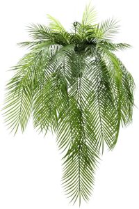 PrettyPlants Palm Kunst Hangplant 110cm