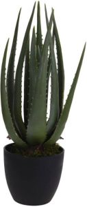 Pro Garden ProGarden Kunstplant in pot Aloe Vera 25x45 cm