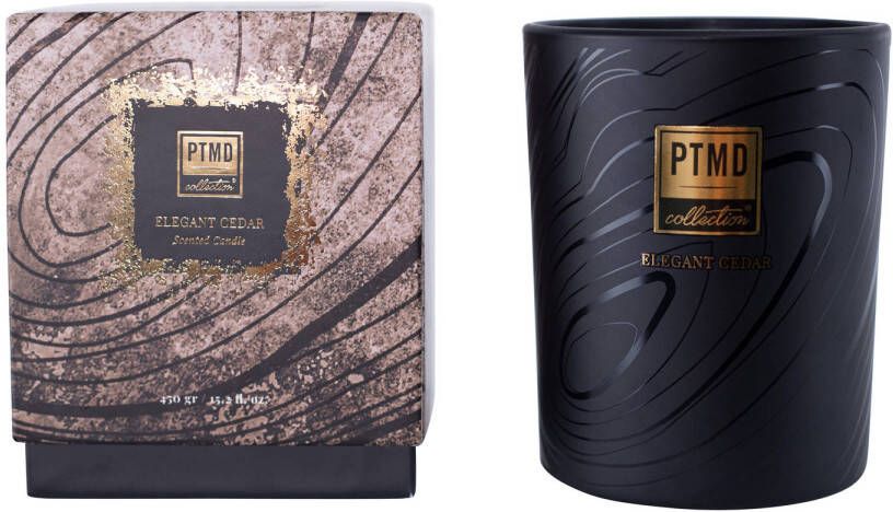 Ptmd Collection PTMD Elements fragrance candle elegant cedar 450gr