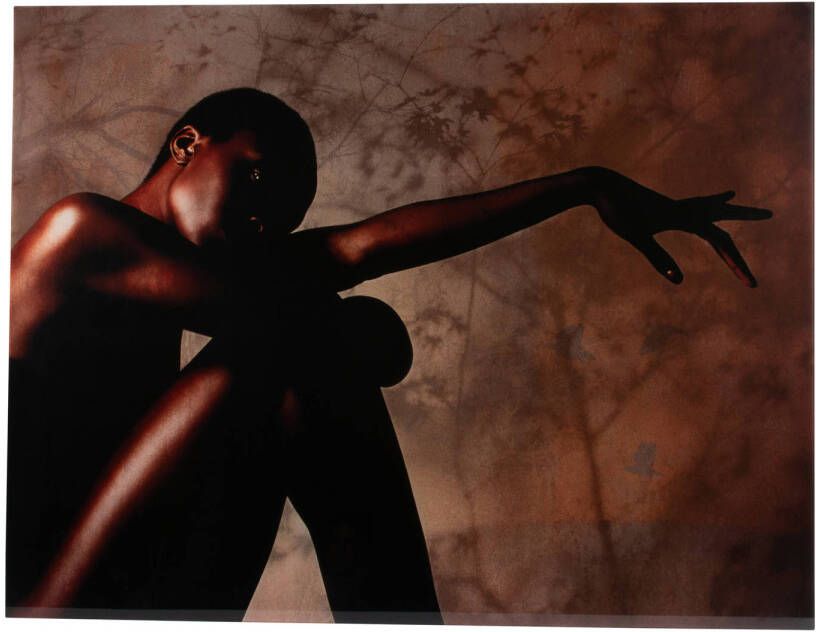PTMD Exclusive Art Savanna Poster 130 x 100 x 0 5 cm Meerkleurig