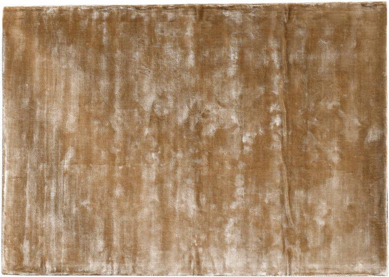 Ptmd Collection PTMD Flavia Brown viscose handwoven carpet L