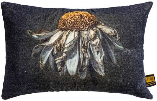 Ptmd Collection PTMD Hava Black cotton velvet cushion daisy flower L