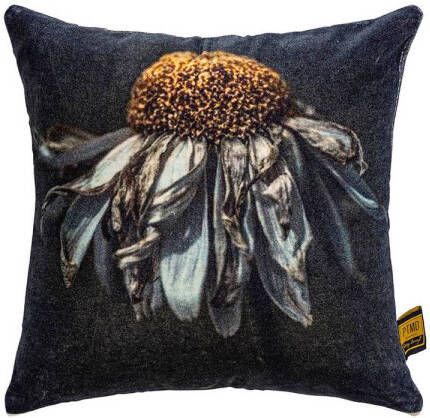 Ptmd Collection PTMD Hava Black cotton velvet cushion daisy flower S