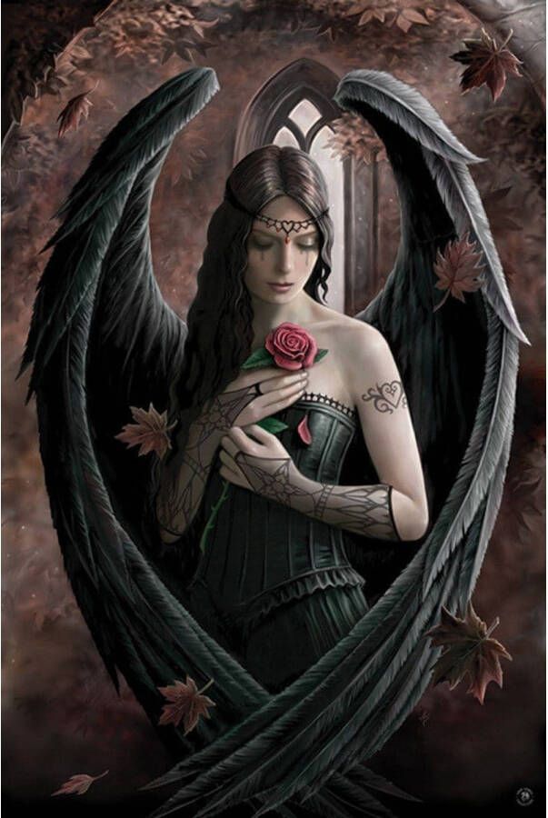 Pyramid Anne Stokes Angel Rose Poster 61x91 5cm