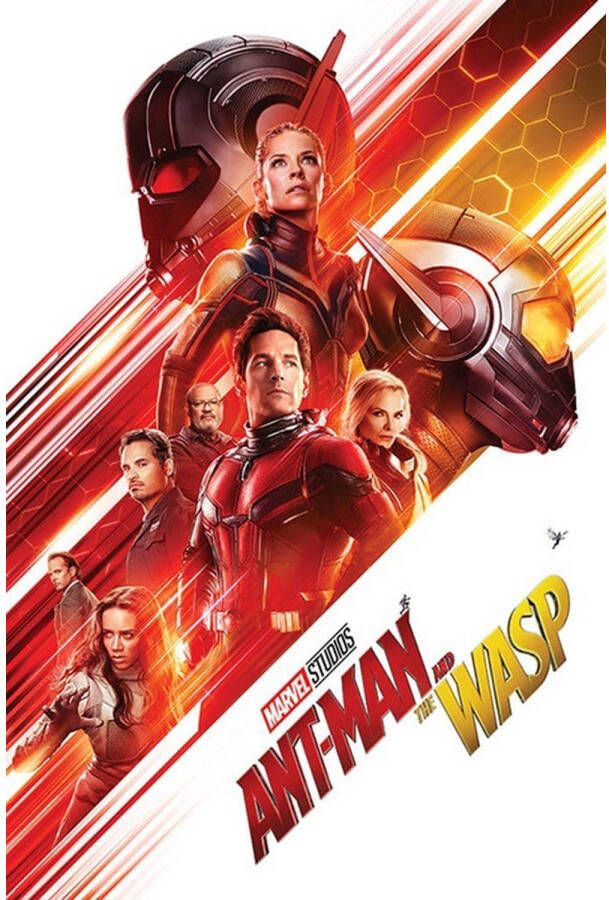 Pyramid Ant-Man and the Wasp One Sheet Poster 61x91 5cm
