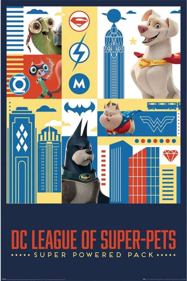 Pyramid DC Super Pets Activate Poster 61x91 5cm
