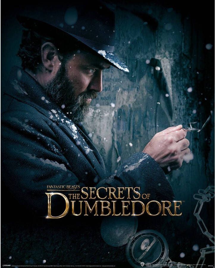 Pyramid Fantastic Beasts The Secrets of Dumbledore Watch Kunstdruk 40x50cm