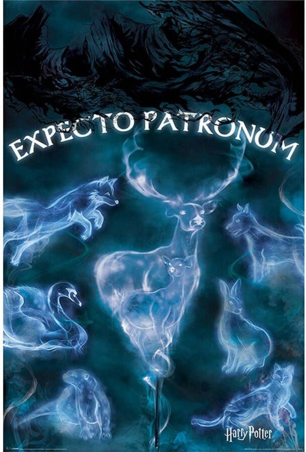 Pyramid Harry Potter Patronus Poster 61x91 5cm