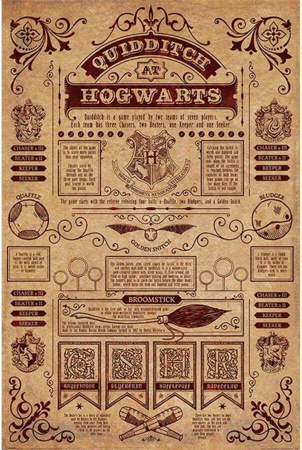 Pyramid Harry Potter Quidditch At Hogwarts Poster 61x91 5cm