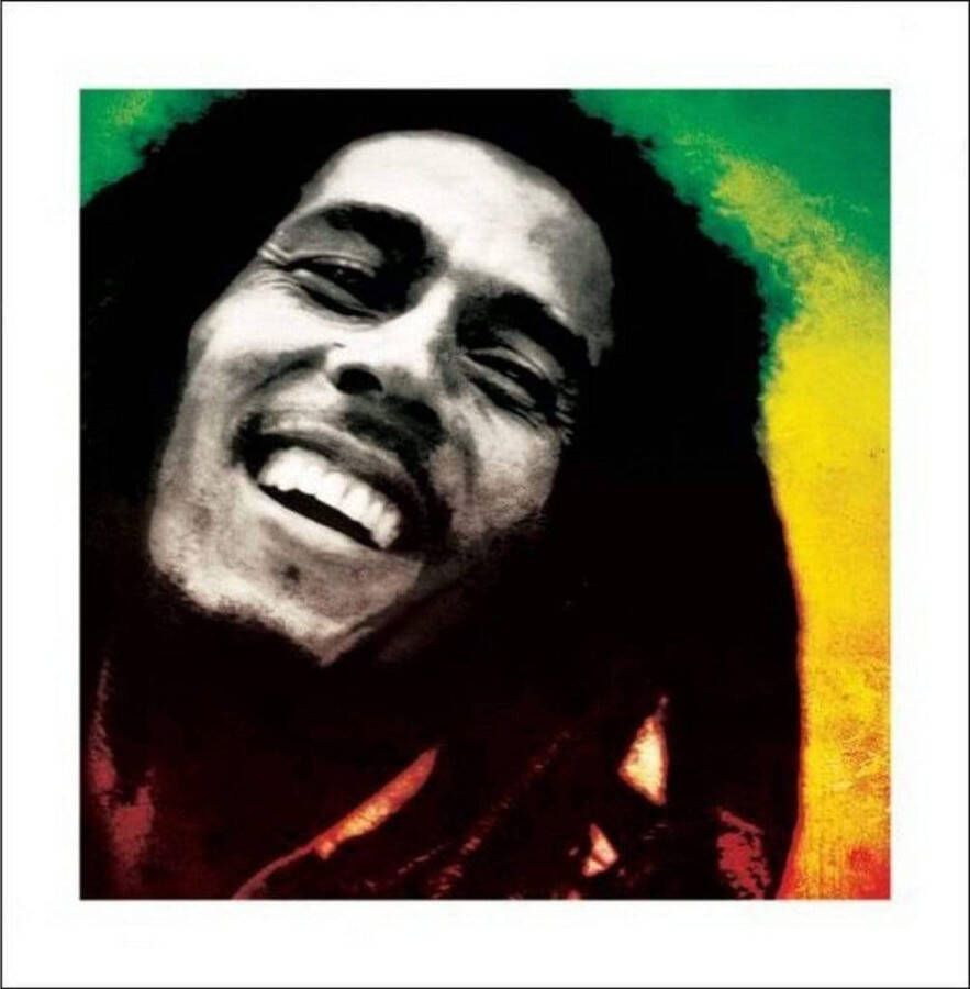 Pyramid Kunstdruk Bob Marley Paint 40x40cm