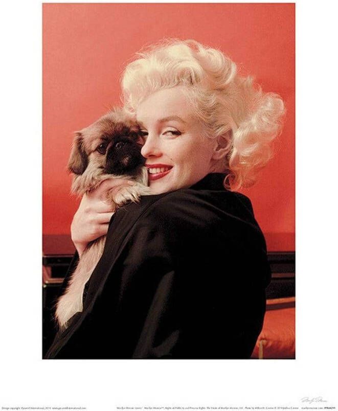 Pyramid Marilyn Monroe Love Kunstdruk 60x80cm