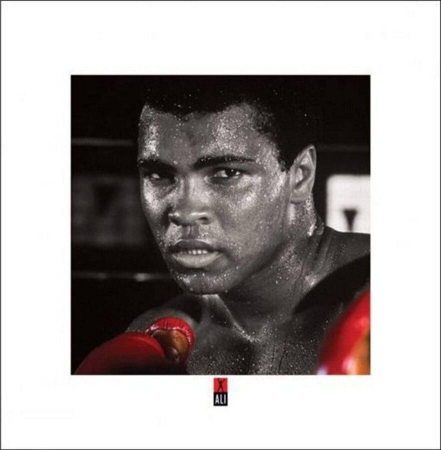 Pyramid Muhammad Ali Boxing Gloves Kunstdruk 40x40cm
